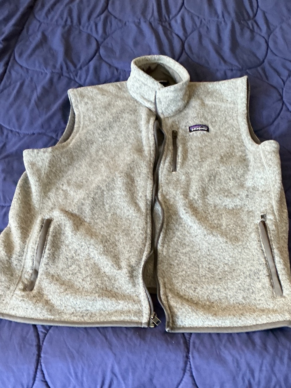 Patagonia Men’s Light Gray Fleece Zip-Up Vest